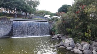 2022-03-GranCan-Las_Palmas-Santa_Ana--Doramas-PM-NN-106.JPG